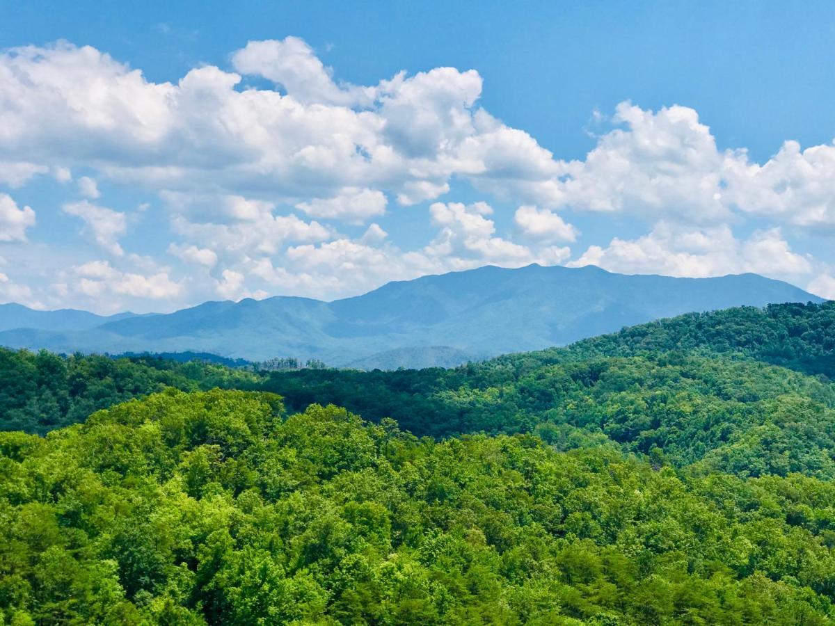 A Higher Calling, 1089 Of Free Area Attraction Tickets For Each Paid Day, Dollywood And More! Pigeon Forge Esterno foto
