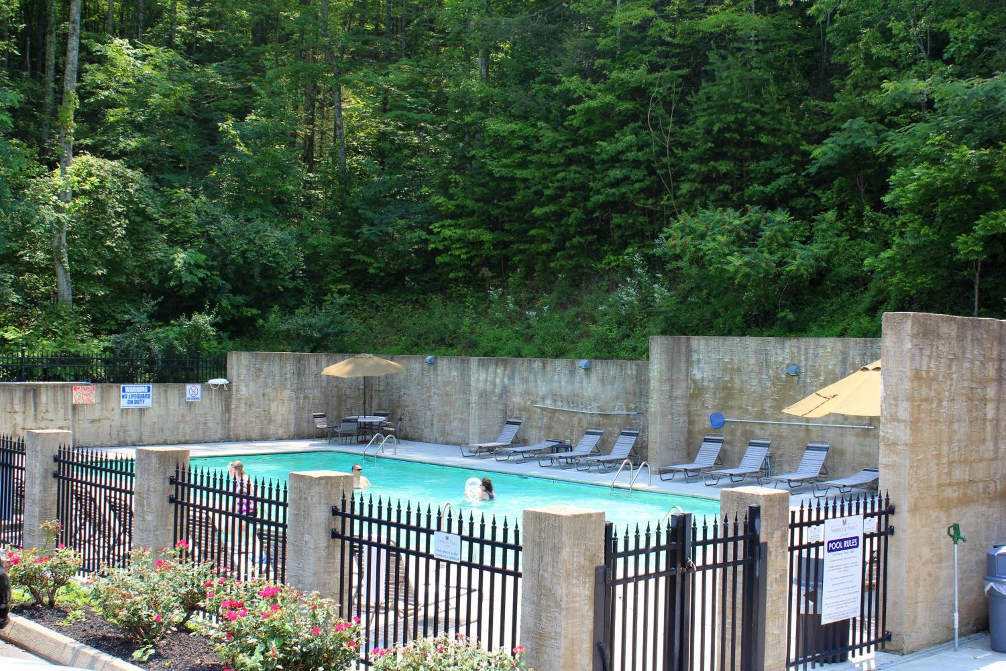 A Higher Calling, 1089 Of Free Area Attraction Tickets For Each Paid Day, Dollywood And More! Pigeon Forge Esterno foto