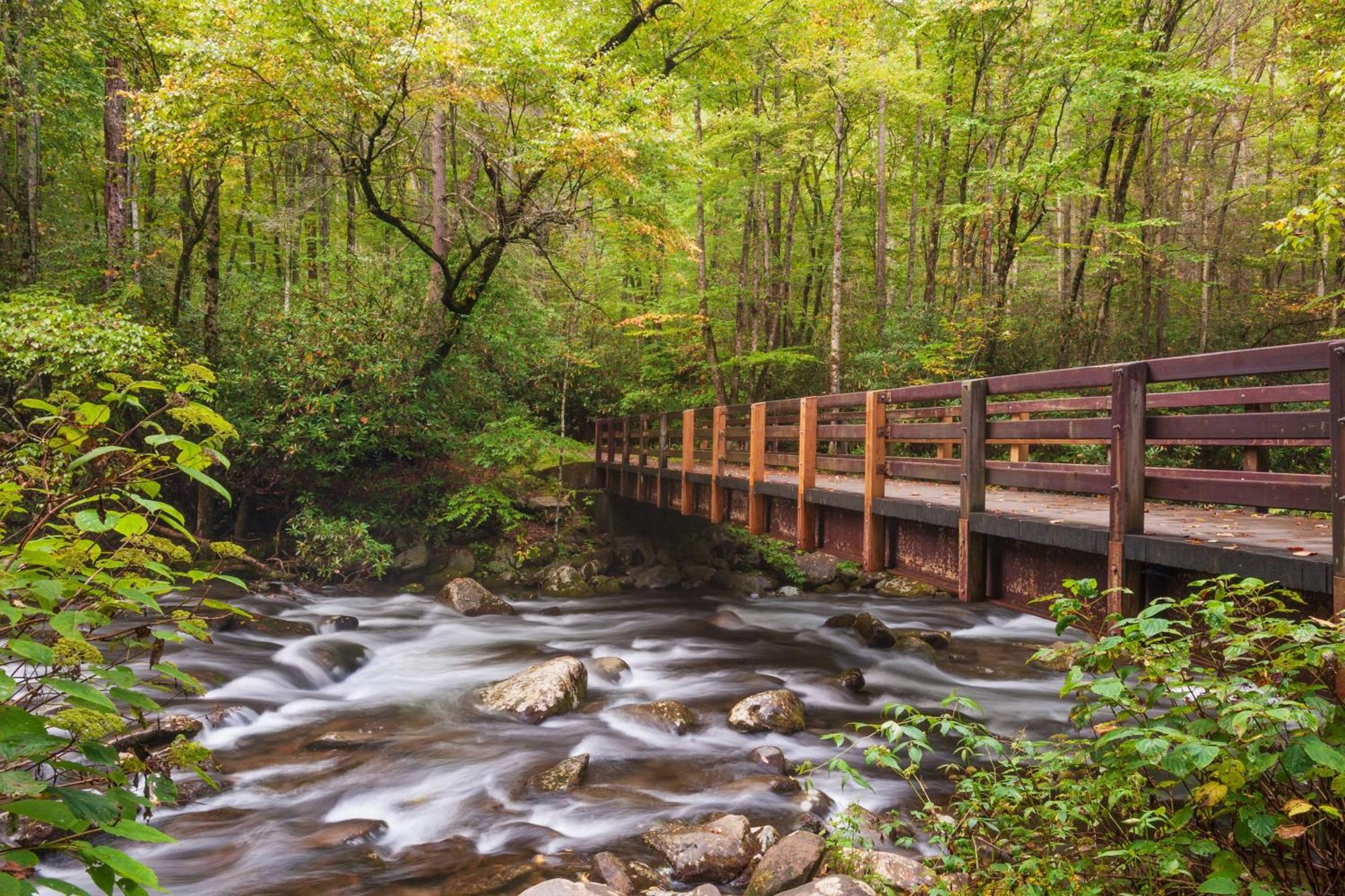 A Higher Calling, 1089 Of Free Area Attraction Tickets For Each Paid Day, Dollywood And More! Pigeon Forge Esterno foto